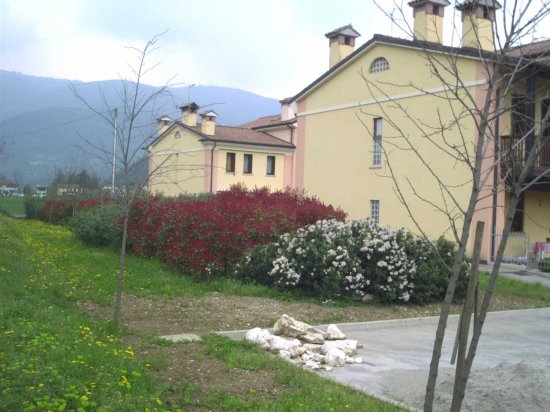 impianto di fitodepurazione Geofilter GFP